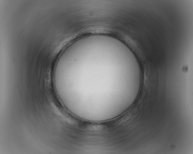 X0000110670202200907021854