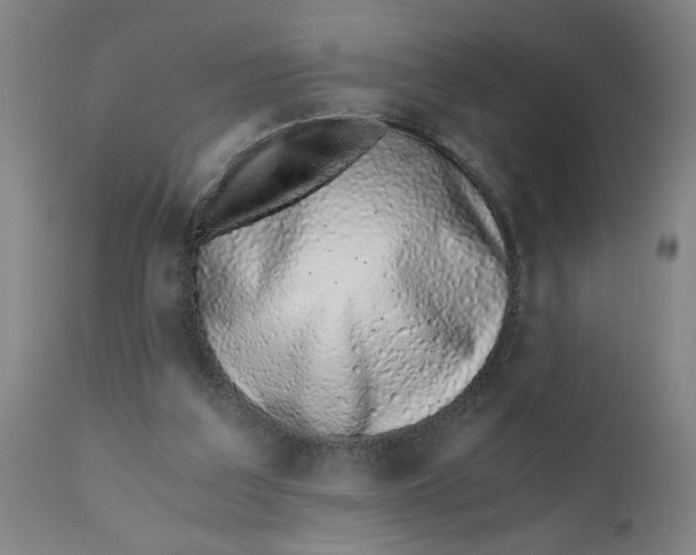 X0000110670203200907021854