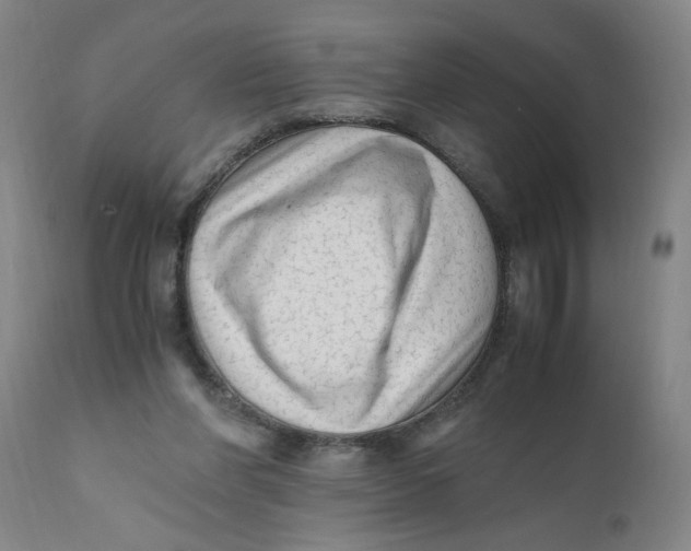 X0000110670206200907021854