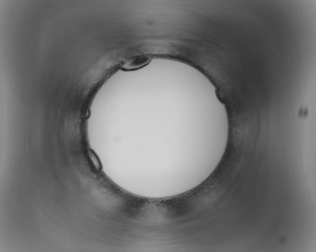 X0000110670207200907021854