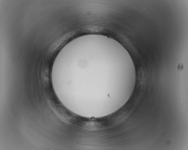 X0000110670212200907021854