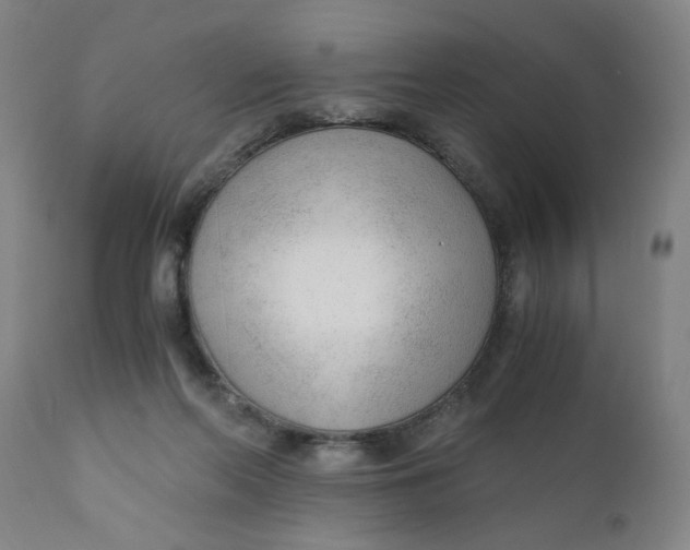 X0000110670214200907021854