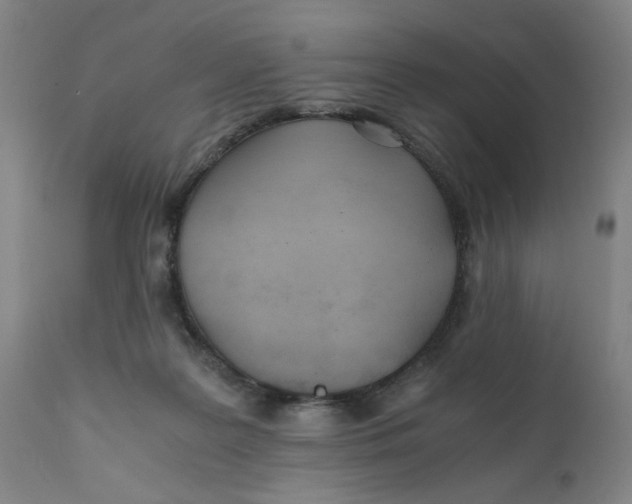 X0000110670219200907021854