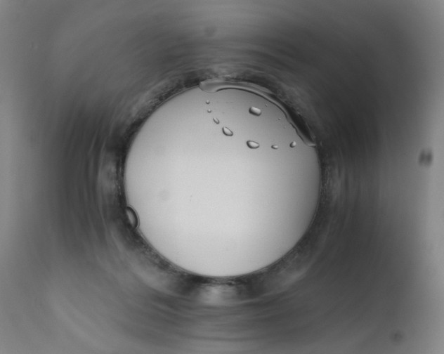 X0000110670220200907021854