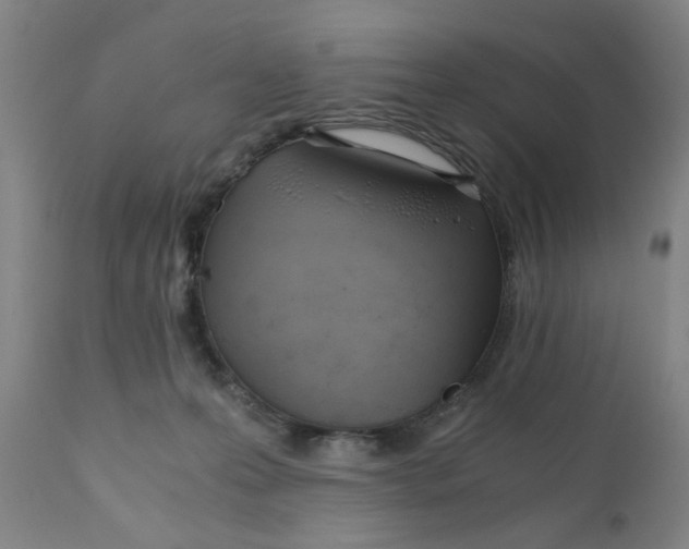 X0000110670223200907021854