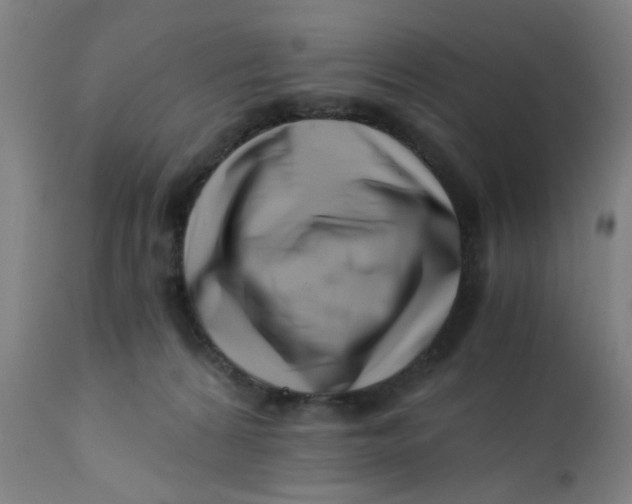 X0000110670224200907021854