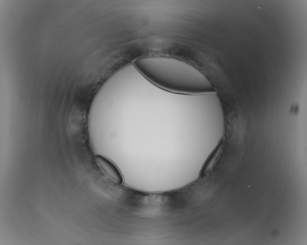 X0000110670225200907021854