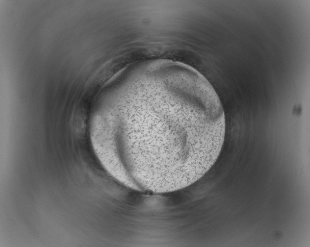 X0000110670226200907021854