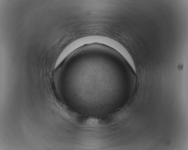 X0000110670227200907021854