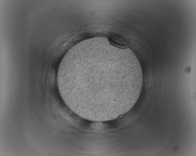 X0000110670231200907021854