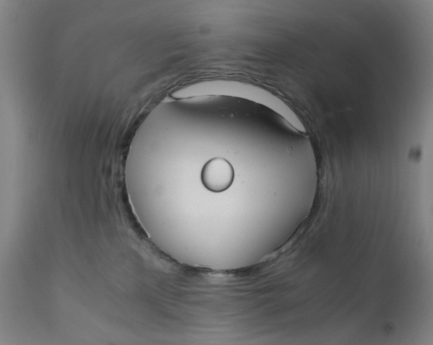 X0000110670233200907021854