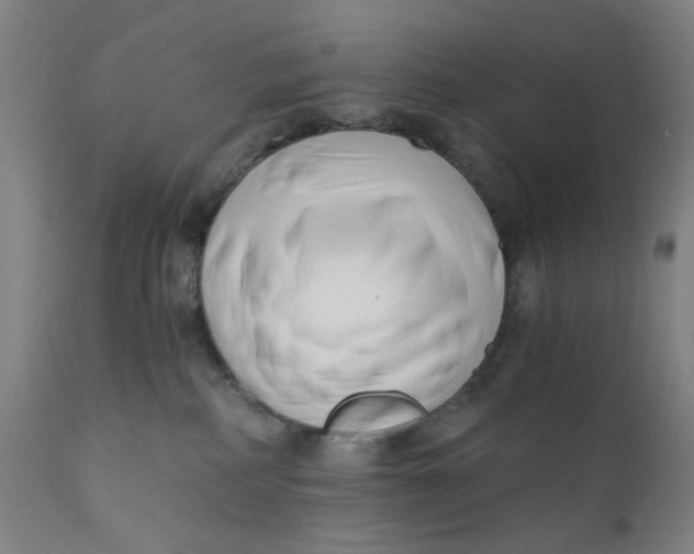 X0000110670234200907021854