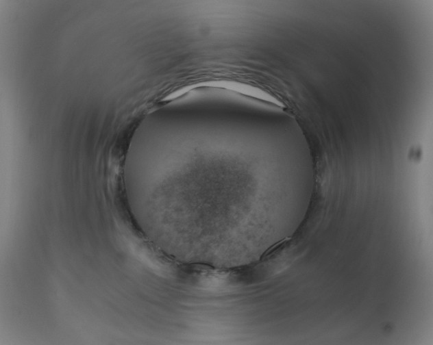 X0000110670235200907021854