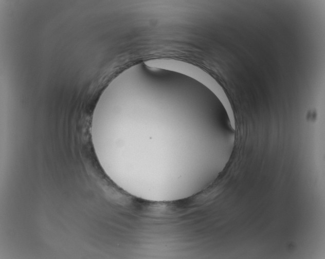 X0000110670237200907021854