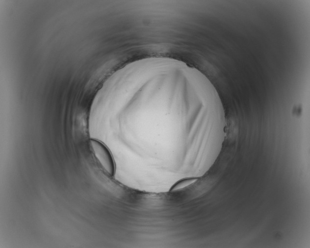 X0000110670238200907021854