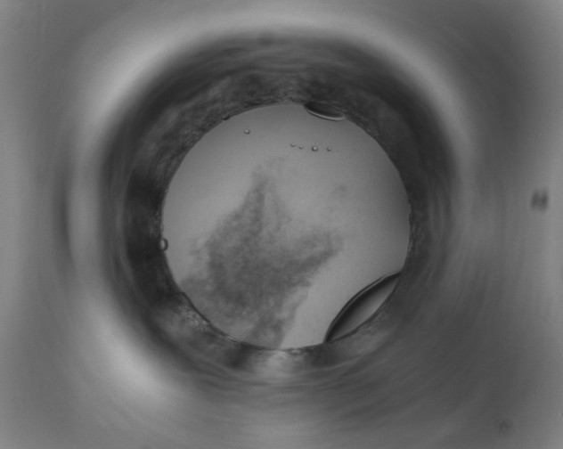 X0000110670239200907021854