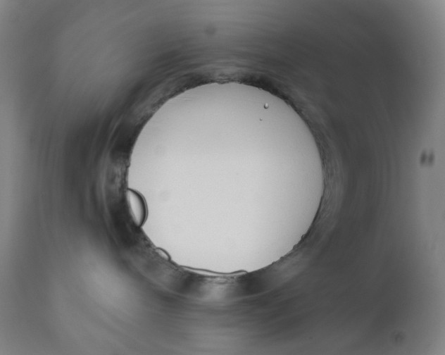 X0000110670240200907021854
