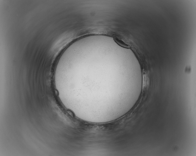 X0000110670243200907021853