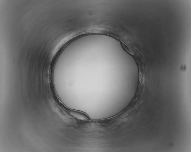 X0000110670244200907021853