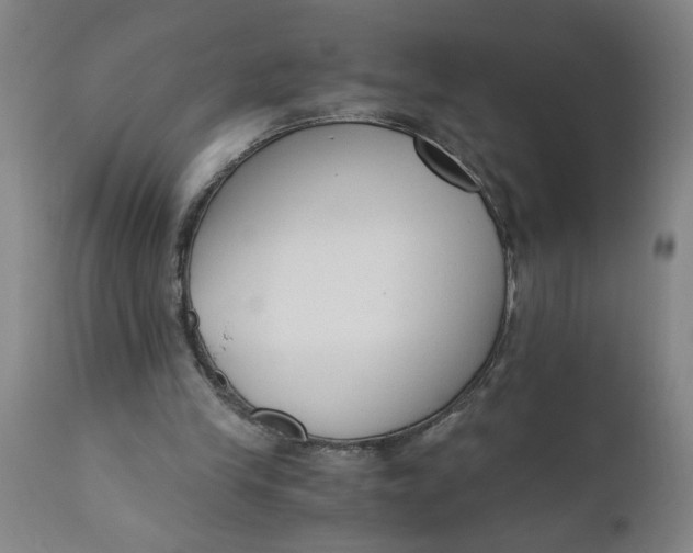 X0000110670245200907021853
