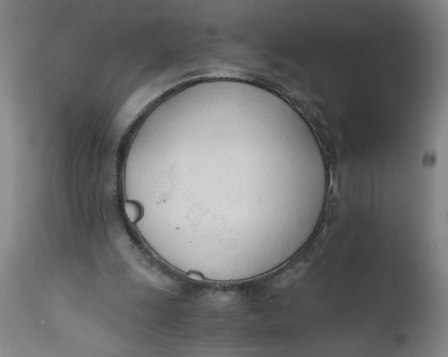 X0000110670247200907021853