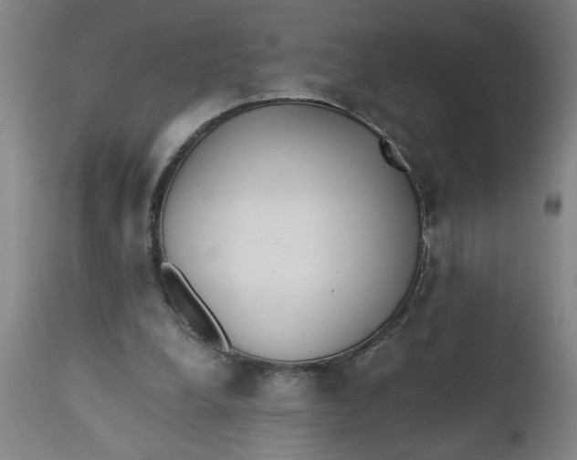 X0000110670248200907021853