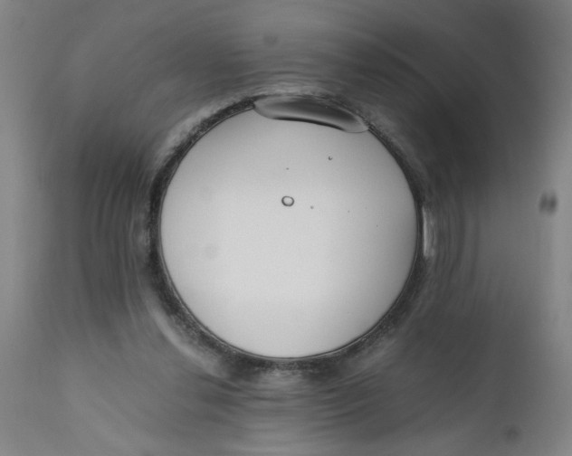 X0000110670252200907021853
