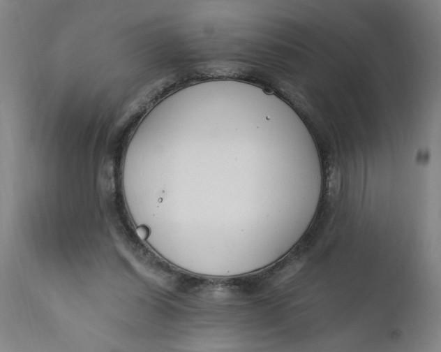 X0000110670254200907021853
