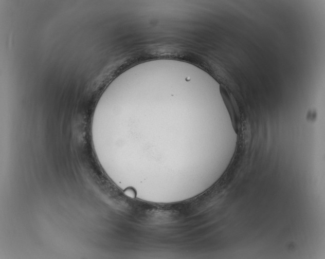 X0000110670255200907021853