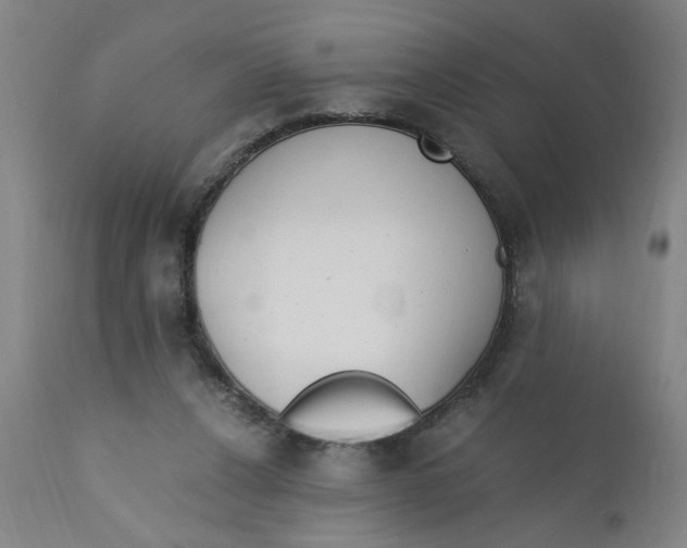 X0000110670256200907021853