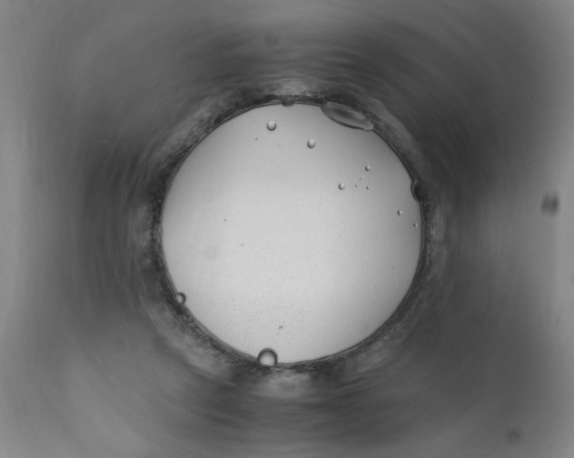 X0000110670257200907021853