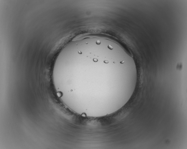 X0000110670258200907021853