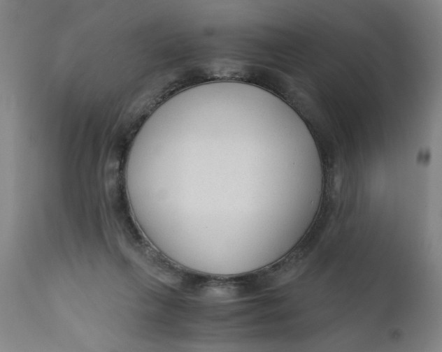 X0000110670263200907021853