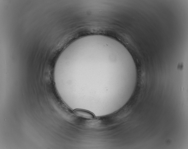 X0000110670266200907021853