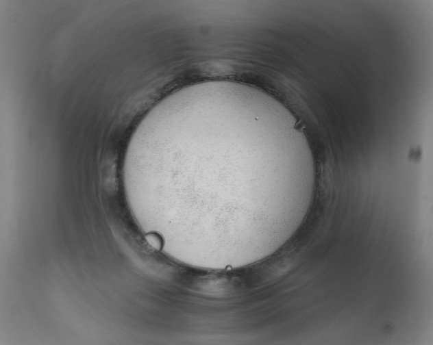 X0000110670267200907021853