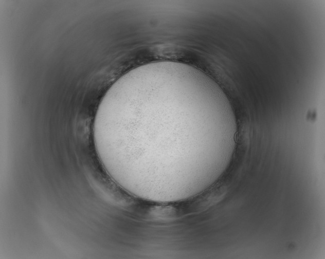 X0000110670271200907021853