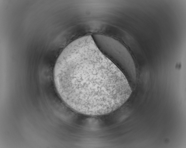 X0000110670272200907021853