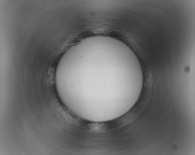 X0000110670273200907021853