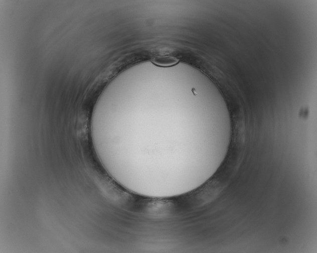 X0000110670274200907021853