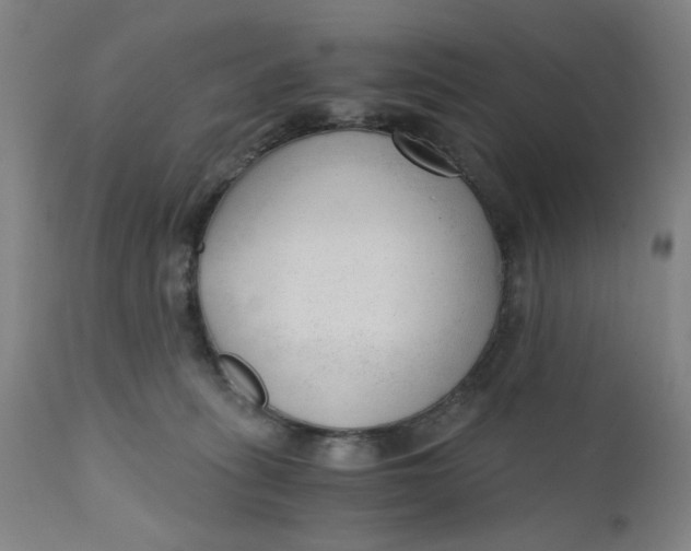 X0000110670275200907021853