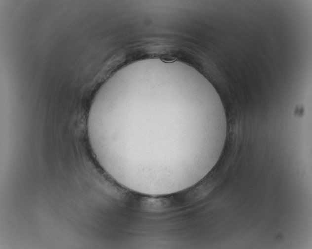 X0000110670277200907021853