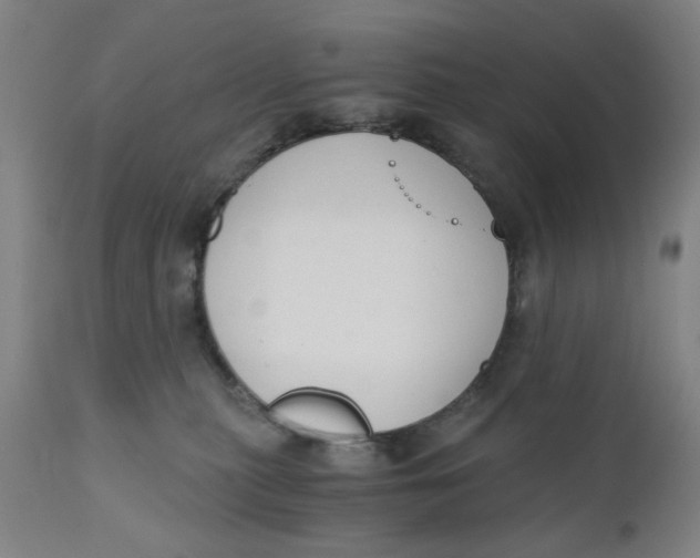 X0000110670279200907021853