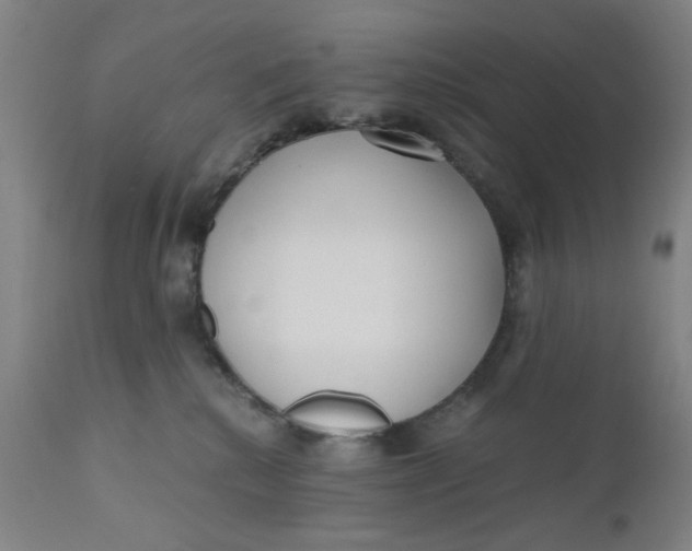 X0000110670280200907021853
