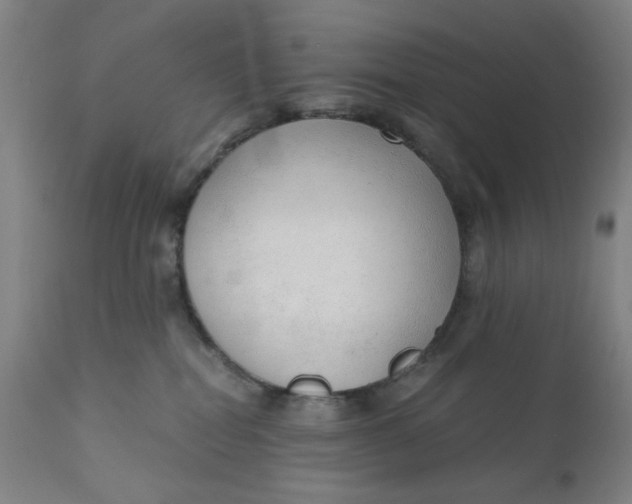 X0000110670282200907021853