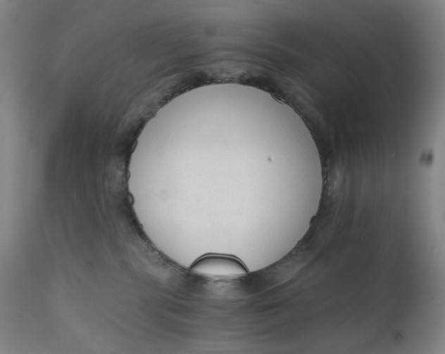 X0000110670283200907021853