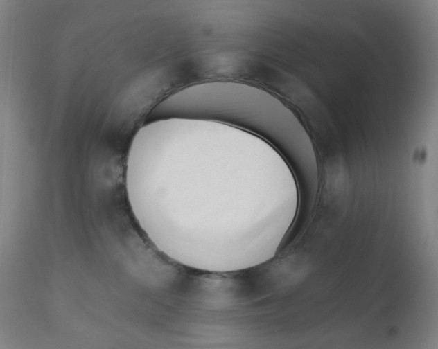 X0000110670284200907021853