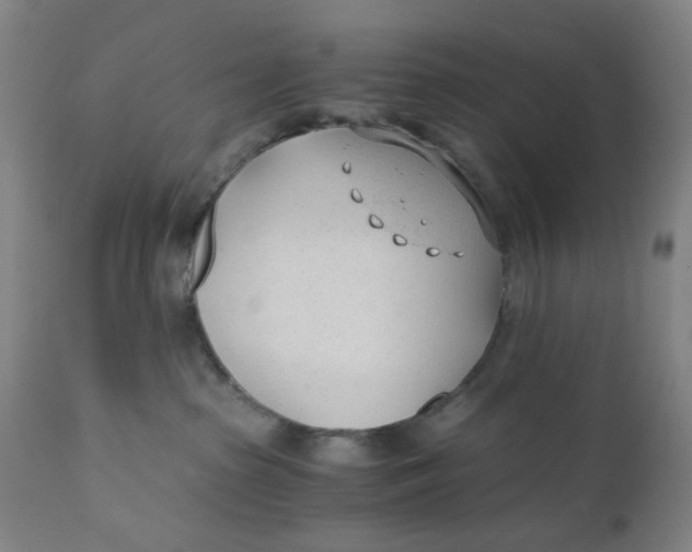 X0000110670285200907021853