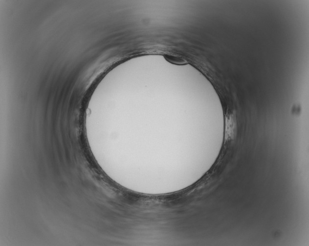 X0000110670291200907021853