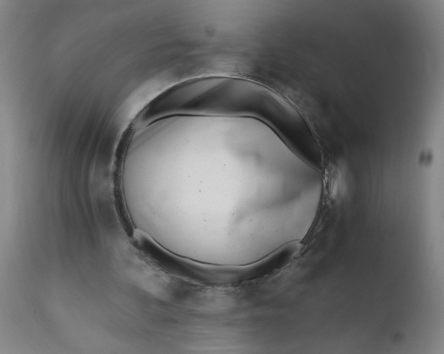 X0000110670292200907021853