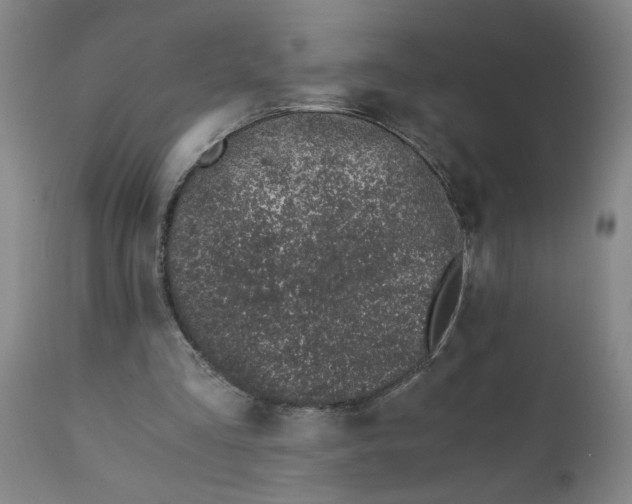 X0000110670293200907021853